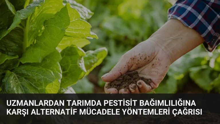Uzmanlardan Tarımda Pestisit Bağımlılığına Karşı Alternatif Mücadele Yöntemleri Çağrısı