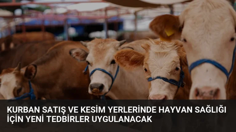 Kurban Satış ve Kesim Yerlerinde Hayvan Sağlığı İçin Yeni Tedbirler Uygulanacak