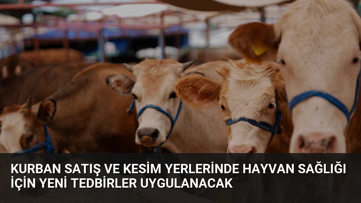 Kurban Satış ve Kesim Yerlerinde Hayvan Sağlığı İçin Yeni Tedbirler Uygulanacak