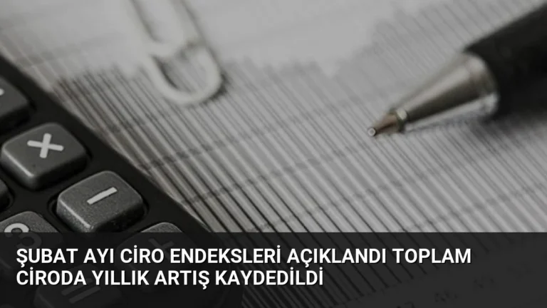 Şubat Ayı Ciro Endeksleri Açıklandı Toplam Ciroda Yıllık Artış Kaydedildi