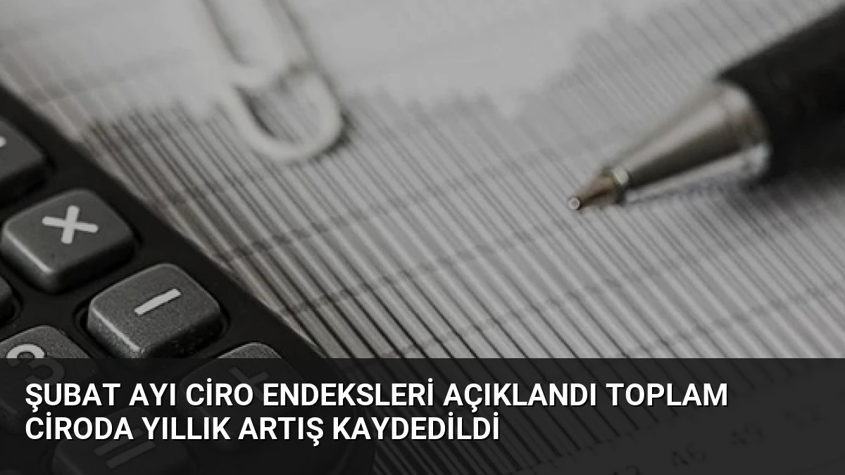 Şubat Ayı Ciro Endeksleri Açıklandı Toplam Ciroda Yıllık Artış Kaydedildi