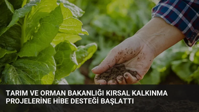 Tarım ve Orman Bakanlığı Kırsal Kalkınma Projelerine Hibe Desteği Başlattı