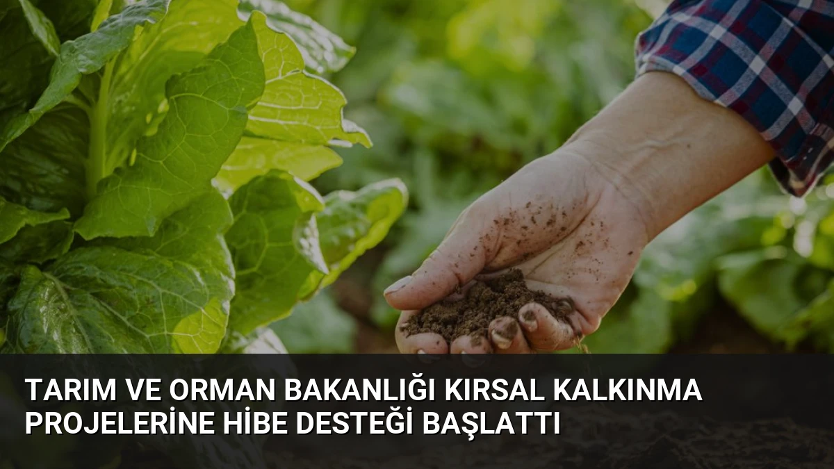 Tarım ve Orman Bakanlığı Kırsal Kalkınma Projelerine Hibe Desteği Başlattı