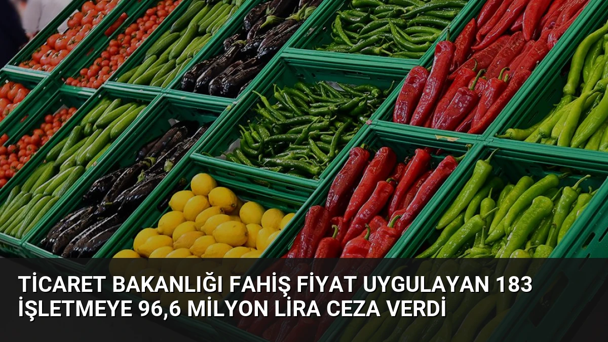 Ticaret Bakanlığı Fahiş Fiyat Uygulayan 183 İşletmeye 96,6 Milyon Lira Ceza Verdi