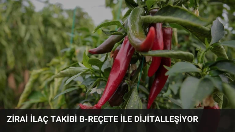 Zirai İlaç Takibi B-Reçete ile Dijitalleşiyor