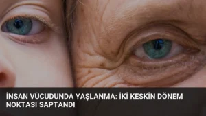 İnsan Vücudunda Yaşlanma: İki Keskin Dönem Noktası Saptandı