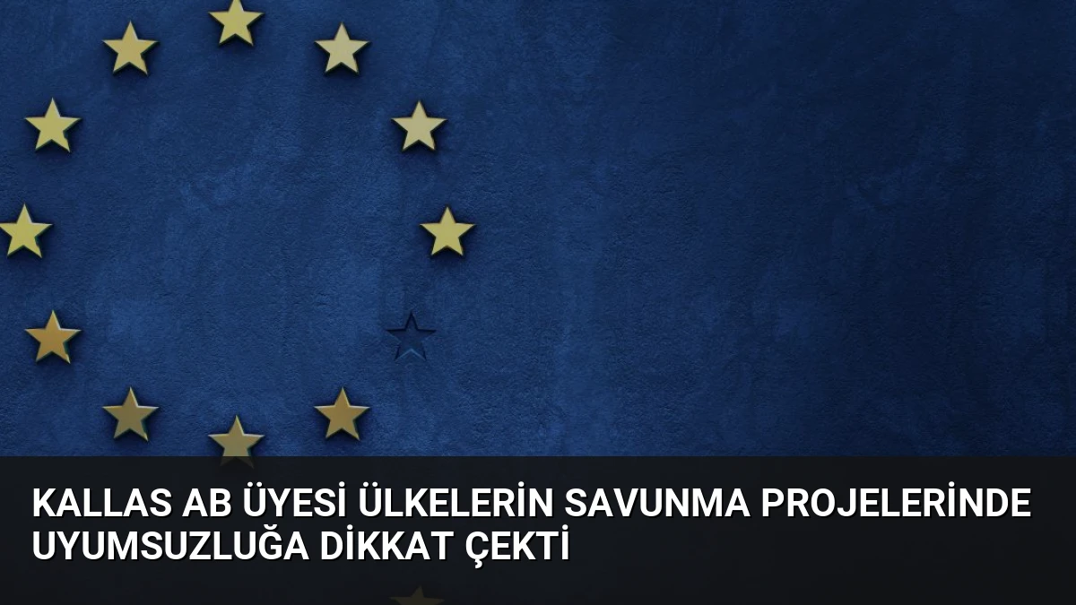 Kallas AB Üyesi Ülkelerin Savunma Projelerinde Uyumsuzluğa Dikkat Çekti