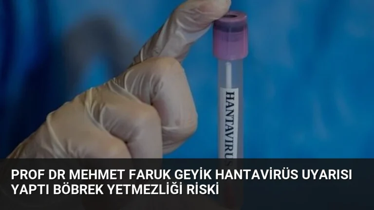 Prof Dr Mehmet Faruk Geyik Hantavirüs Uyarısı Yaptı Böbrek Yetmezliği Riski