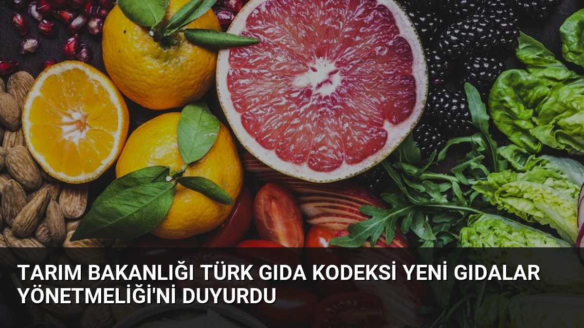 Tarım Bakanlığı Türk Gıda Kodeksi Yeni Gıdalar Yönetmeliği’ni Duyurdu