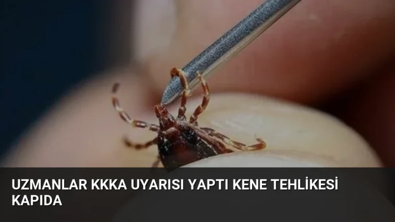 Uzmanlar KKKA Uyarısı Yaptı Kene Tehlikesi Kapıda