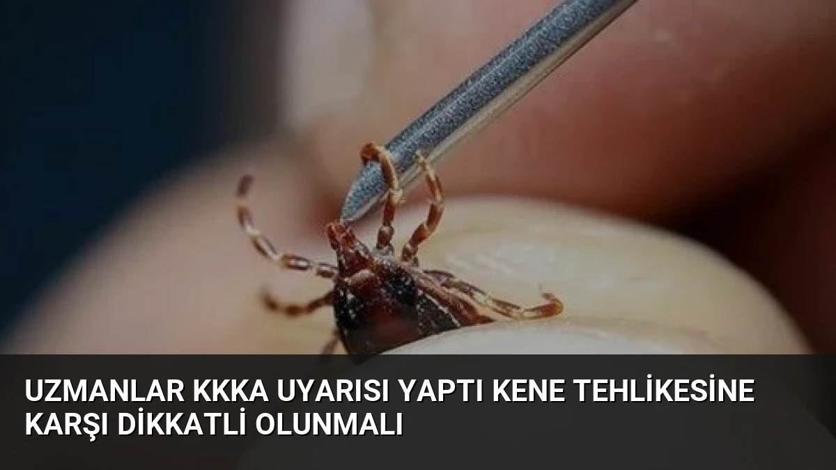 Uzmanlar KKKA Uyarısı Yaptı Kene Tehlikesine Karşı Dikkatli Olunmalı