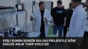 Yerli Rumen Sensör Bolusu Projesiyle Sığır Sağlığı Anlık Takip Edilecek