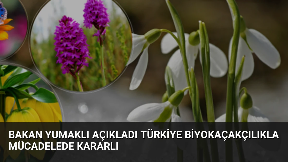 Bakan Yumaklı Açıkladı Türkiye Biyokaçakçılıkla Mücadelede Kararlı