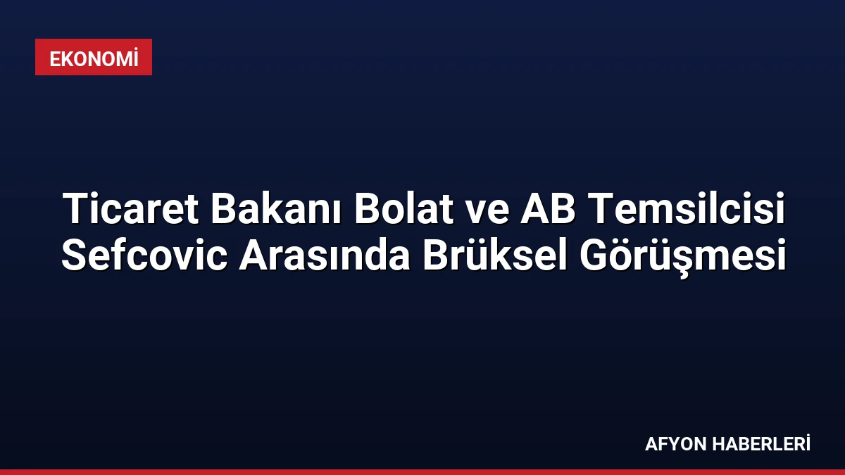 Ticaret Bakanı Bolat ve AB Temsilcisi Sefcovic Arasında Brüksel Görüşmesi