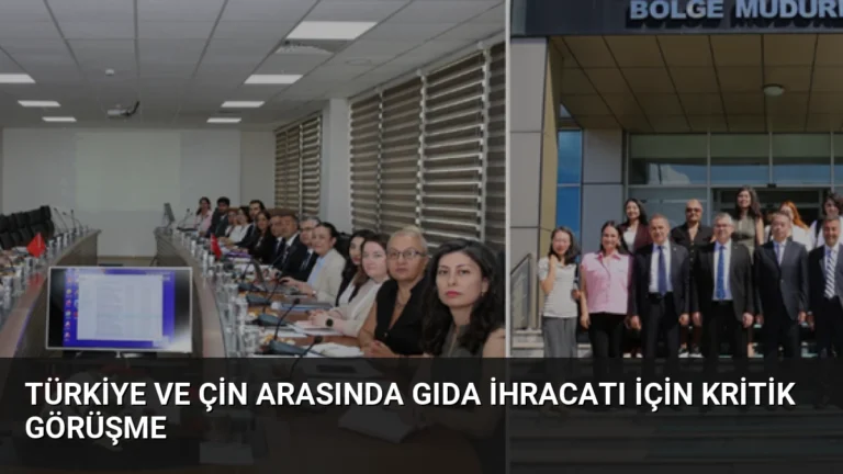 Türkiye ve Çin arasında gıda ihracatı için kritik görüşme