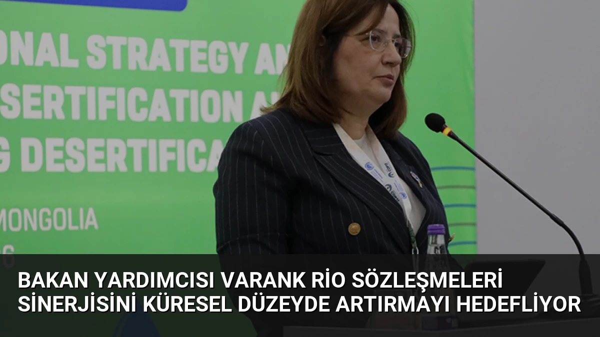 Bakan Yardımcısı Varank Rio Sözleşmeleri Sinerjisini Küresel Düzeyde Artırmayı Hedefliyor