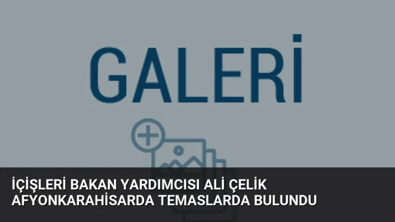 İçişleri Bakan Yardımcısı Ali Çelik Afyonkarahisarda Temaslarda Bulundu
