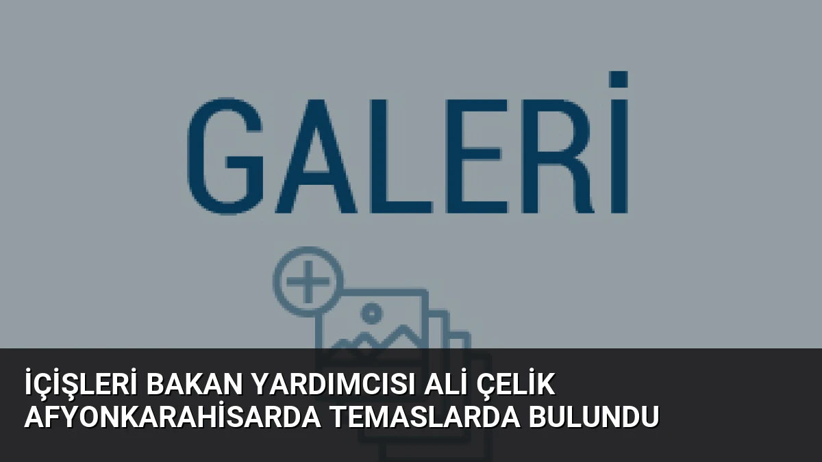 İçişleri Bakan Yardımcısı Ali Çelik Afyonkarahisarda Temaslarda Bulundu