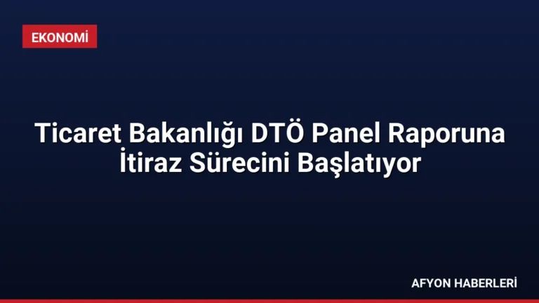 Ticaret Bakanlığı DTÖ Panel Raporuna İtiraz Sürecini Başlatıyor