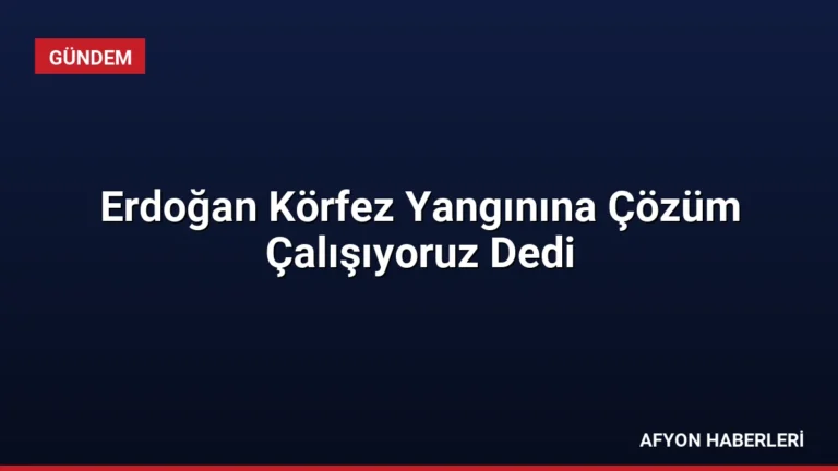 Erdoğan Körfez Yangınına Çözüm Çalışıyoruz Dedi