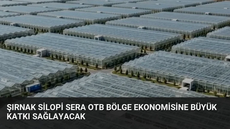 Şırnak Silopi Sera OTB Bölge Ekonomisine Büyük Katkı Sağlayacak