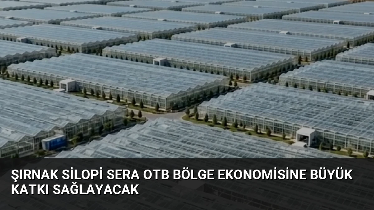 Şırnak Silopi Sera OTB Bölge Ekonomisine Büyük Katkı Sağlayacak