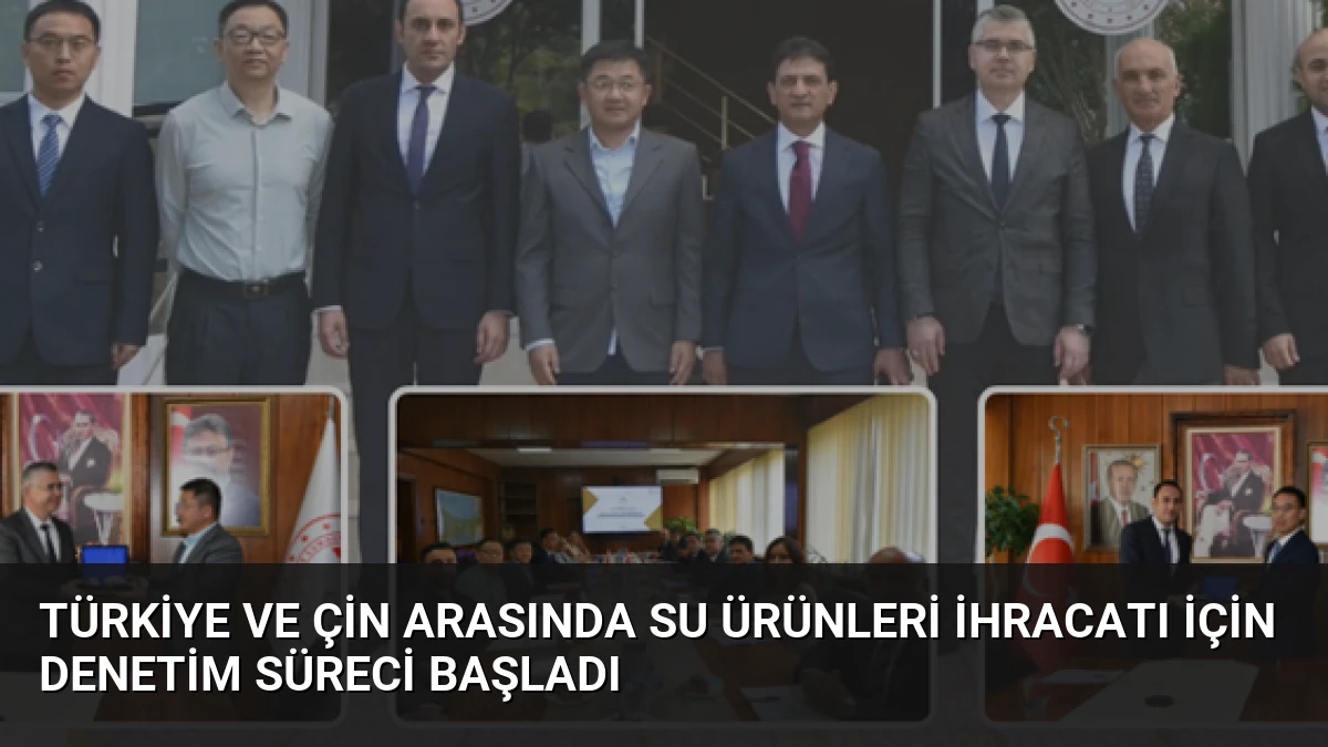 Türkiye ve Çin Arasında Su Ürünleri İhracatı İçin Denetim Süreci Başladı