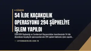 54 İlde Kaçakçılık Operasyonu 294 Şüpheliye İşlem Yapıldı