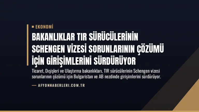 Bakanlıklar TIR Sürücülerinin Schengen Vizesi Sorunlarının Çözümü İçin Girişimlerini Sürdürüyor