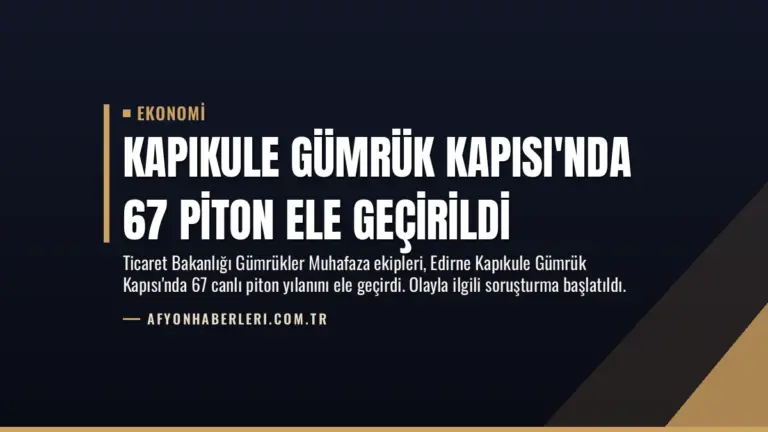 Kapıkule Gümrük Kapısı’nda 67 Piton Ele Geçirildi