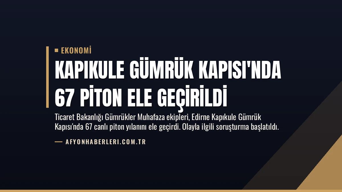 Kapıkule Gümrük Kapısı’nda 67 Piton Ele Geçirildi