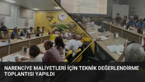 Narenciye Maliyetleri İçin Teknik Değerlendirme Toplantısı Yapıldı