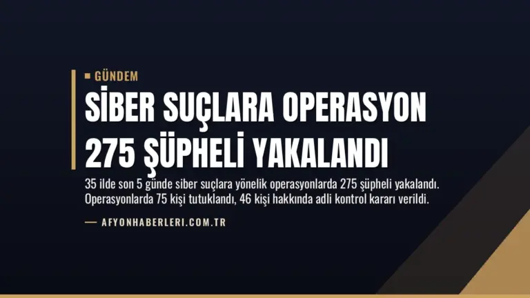 Siber Suçlara Operasyon 275 Şüpheli Yakalandı
