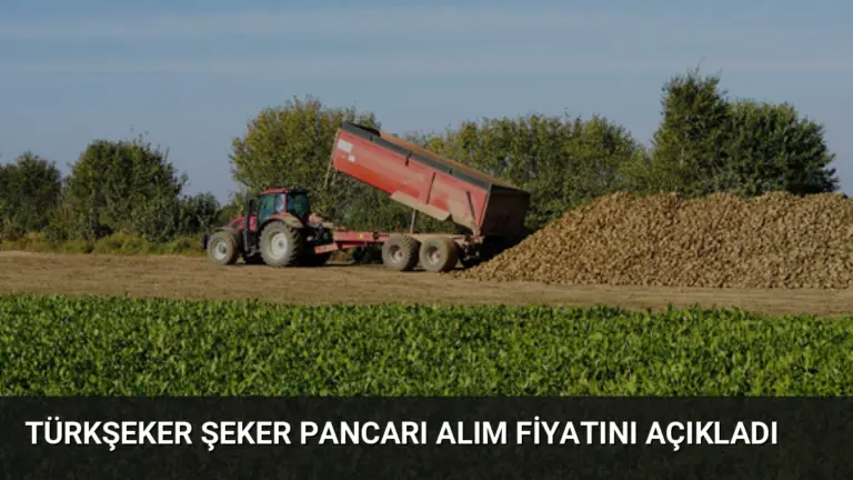 TÜRKŞEKER Şeker Pancarı Alım Fiyatını Açıkladı