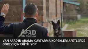 Van AFAD'ın Arama Kurtarma Köpekleri Afetlerde Görev İçin Eğitiliyor