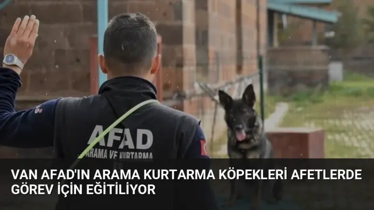 Van AFAD'ın Arama Kurtarma Köpekleri Afetlerde Görev İçin Eğitiliyor