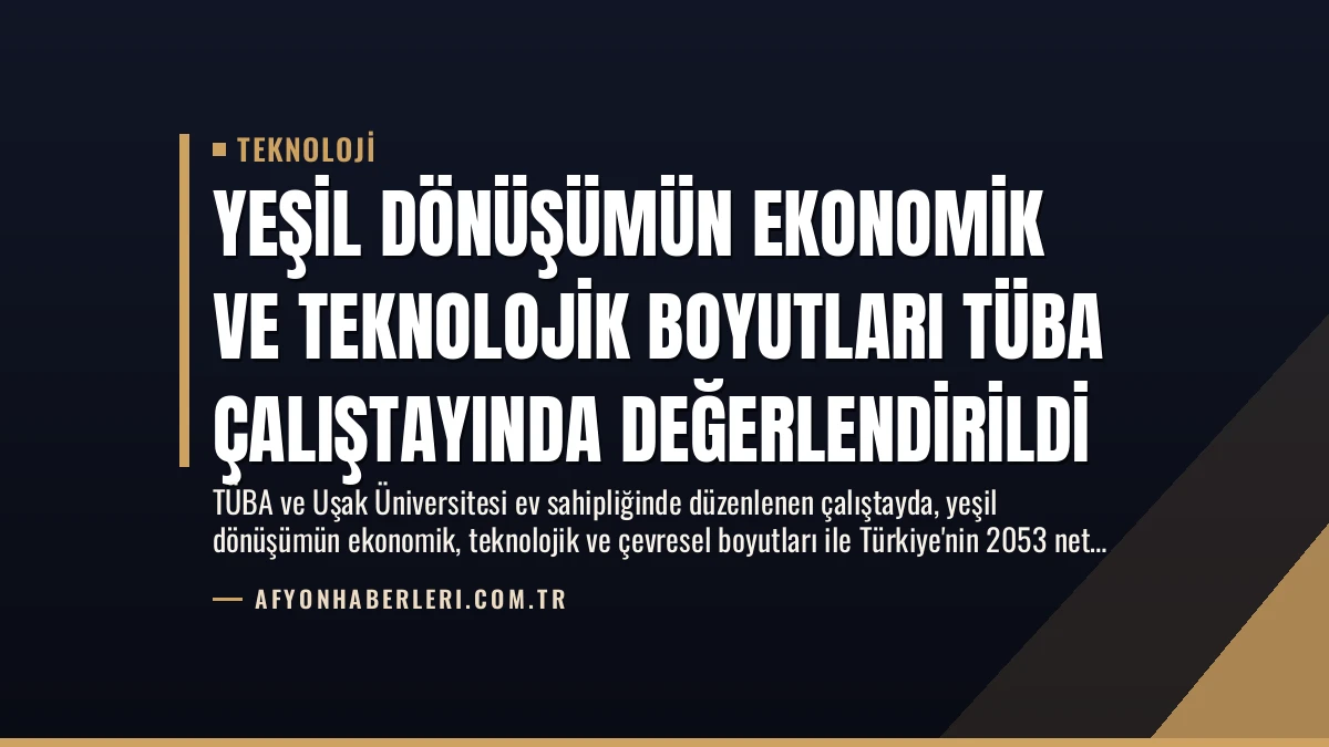 Yeşil Dönüşümün Ekonomik ve Teknolojik Boyutları TÜBA Çalıştayında Değerlendirildi